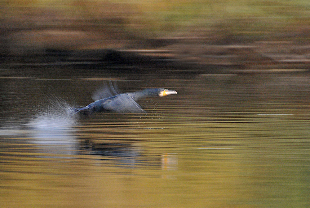 Kormoran – Beschleunigung