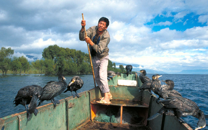 Kormoran Fishing 2, Er Hai Lake