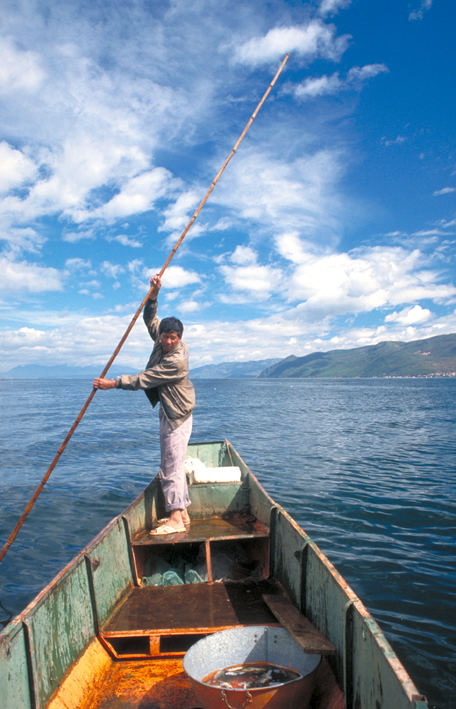 Kormoran Fishing on Er Hai Lake