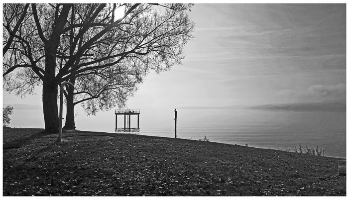 KORMORANE haben immer HUNGER . . .