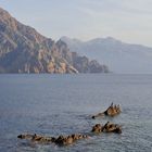 Kormorane im Naturpark La Scandola im Golf von Girolata