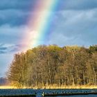 Kormoranversammlung unterm Regenbogen