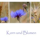 Korn und Blumen