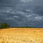 Korn und Gewitter