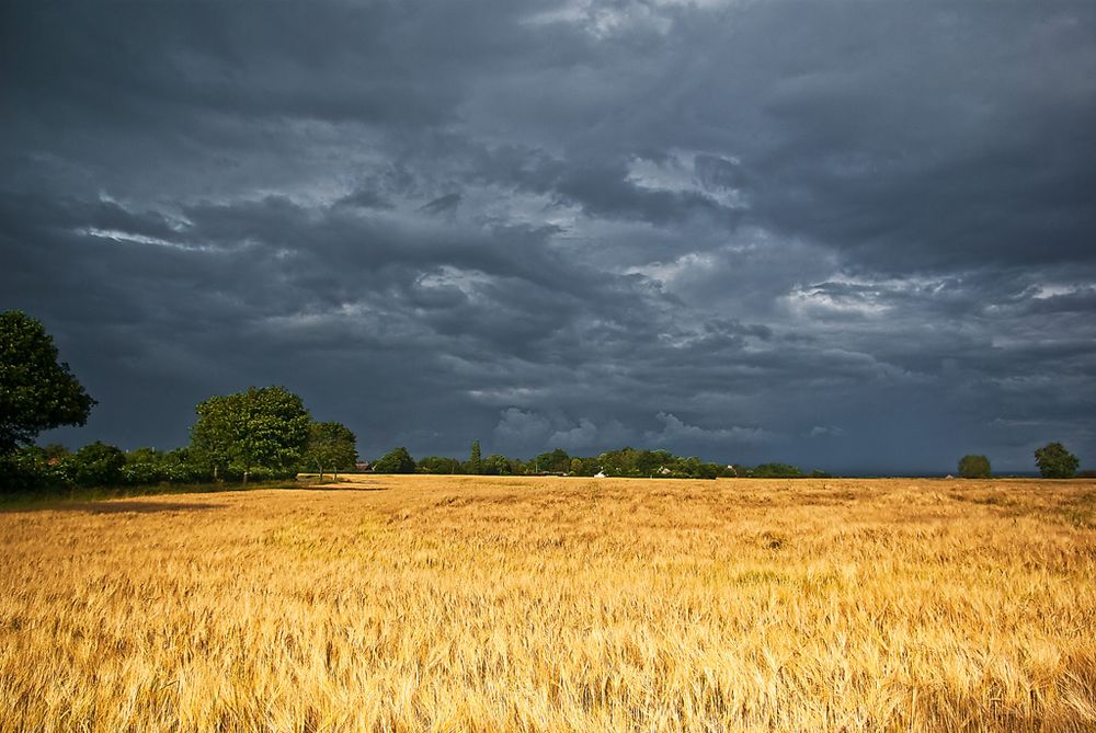 Korn und Gewitter