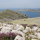 Kornati III