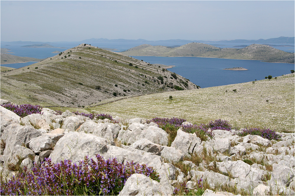 Kornati III