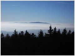 Kornberg-Blick