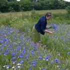 Kornblumenblau