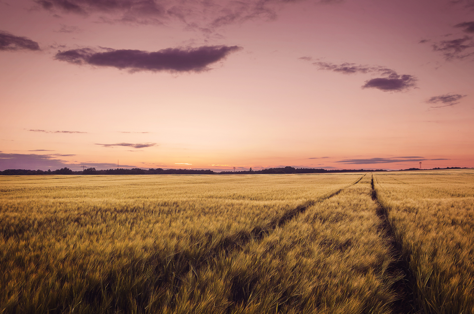 Kornfeld in der Dämmerung Foto & Bild jahreszeiten, sommer, dämmerung Bilder auf Kornfeld in der Dämmerung Foto & Bild jahreszeiten, sommer, dämmerung Bilder auf