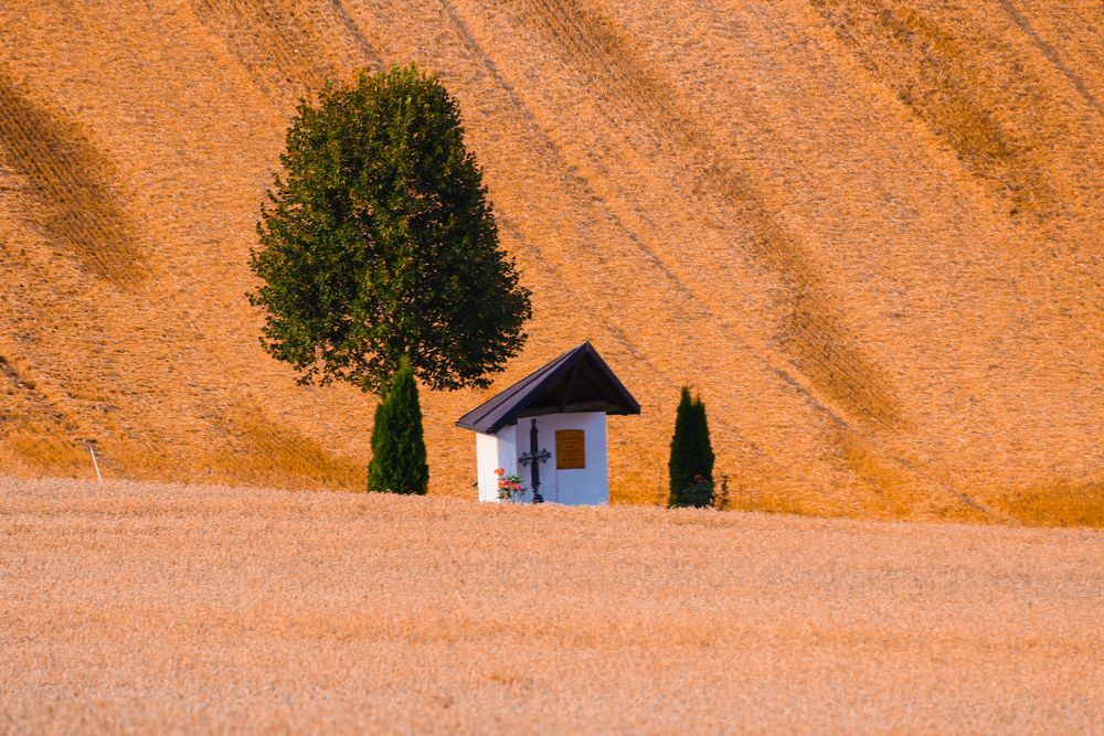 Kornfeld-Kapelle