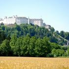 Kornfeld mit klassischer Festungsansicht