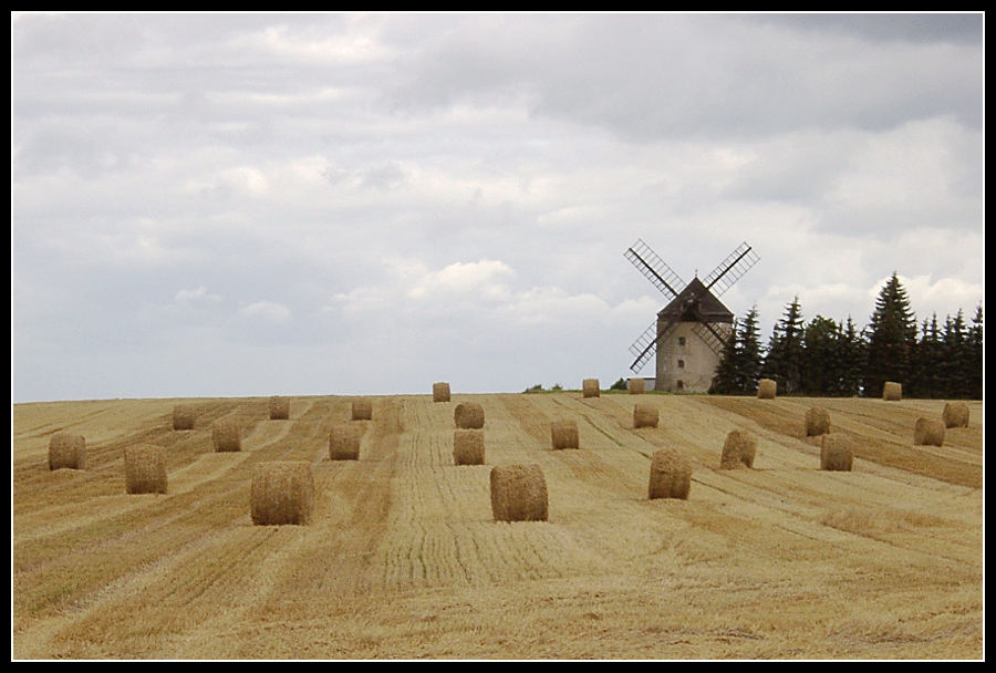 Kornfeld mit Mühle (Sachsen)