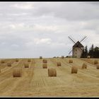 Kornfeld mit Mühle (Sachsen)