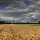 Kornfeld und Wolken