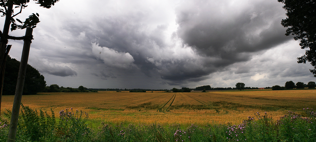 Kornfelder mit Wolkenhimmel