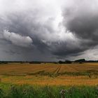 Kornfelder mit Wolkenhimmel