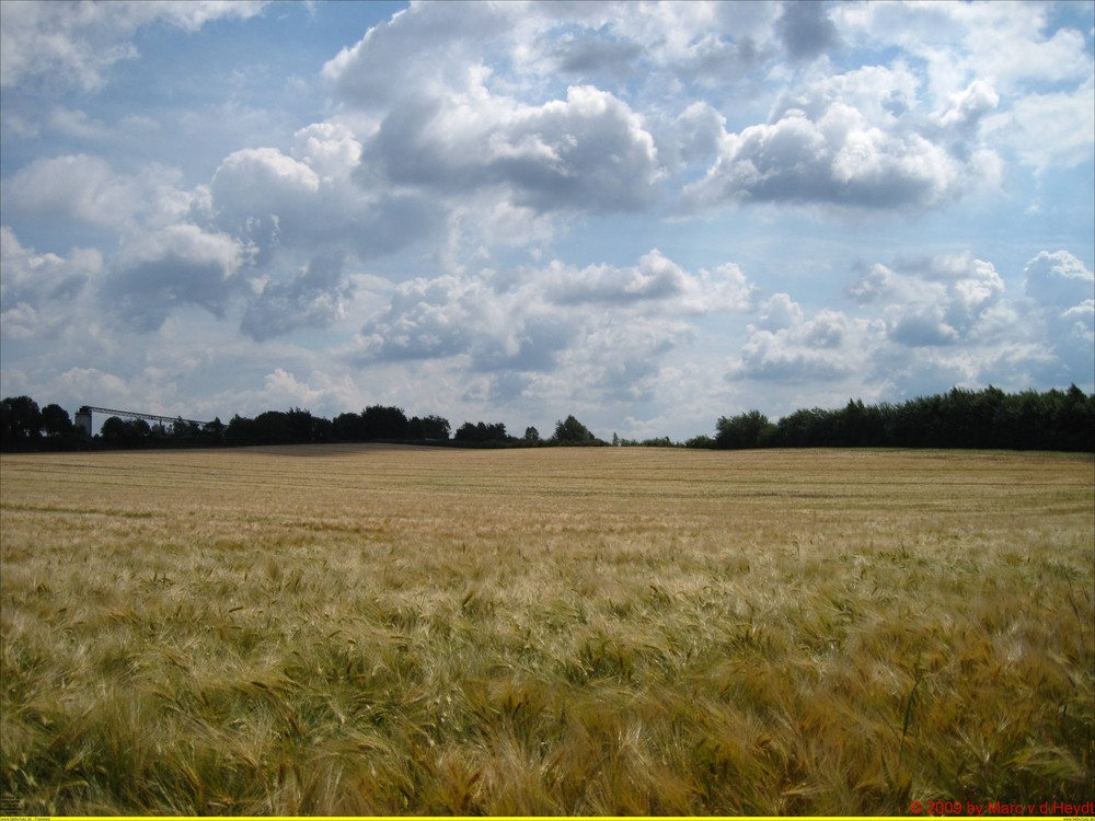 Kornfeld&Wolken by Marc (Mecky) von der Heydt 