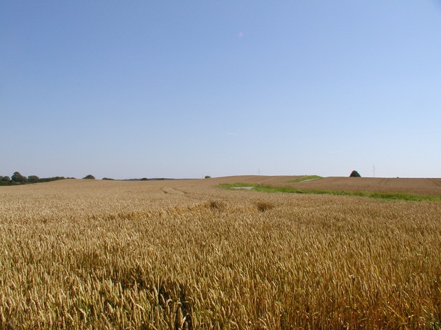 Kornkammer von Markus S. aus S. an der S.