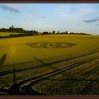 Kornkreis im Sonnenuntergang