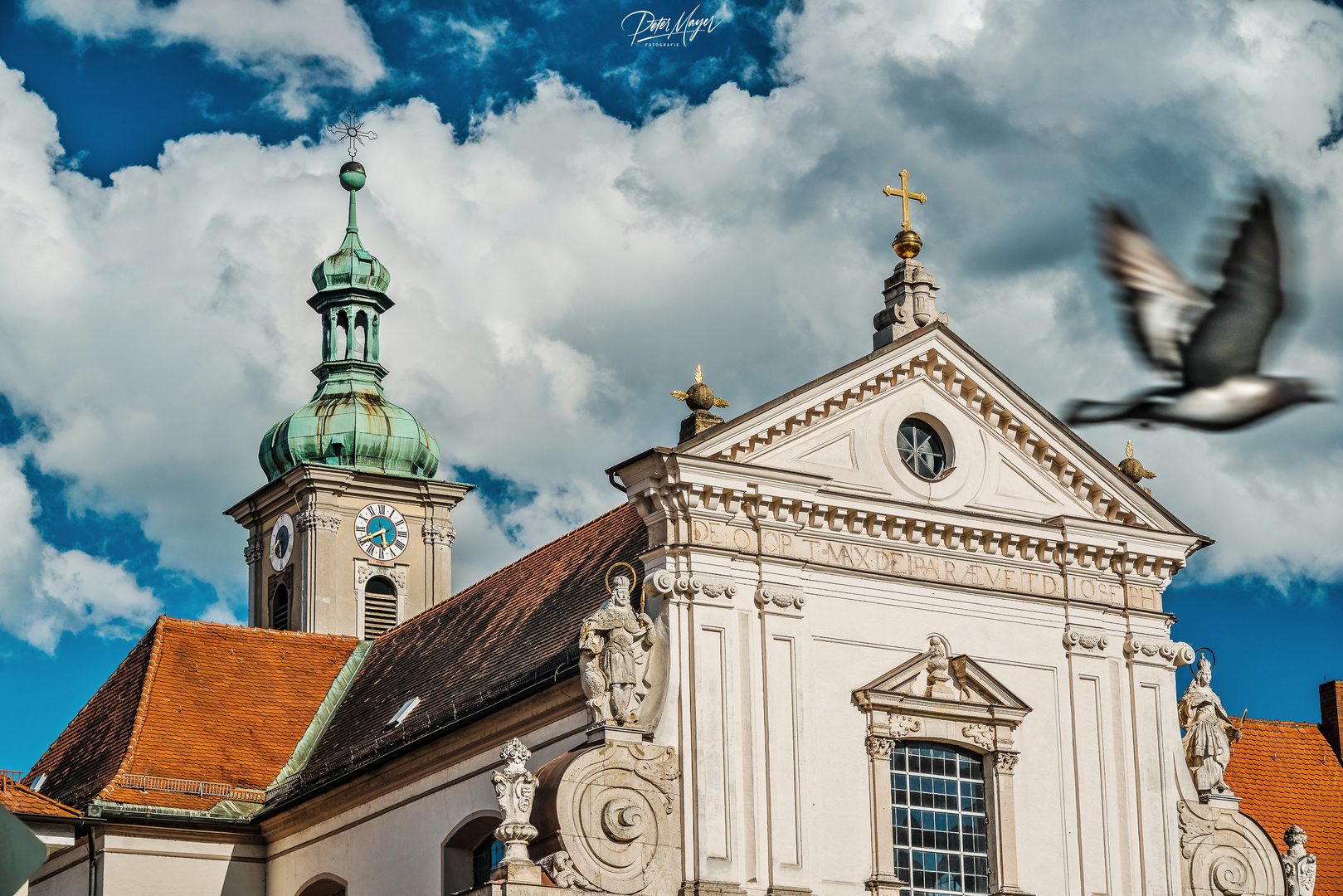 Kornmarkt Regensburg mit Taube 