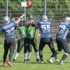 Kornwestheim cougars in blau gewinnen gegen Offenburg