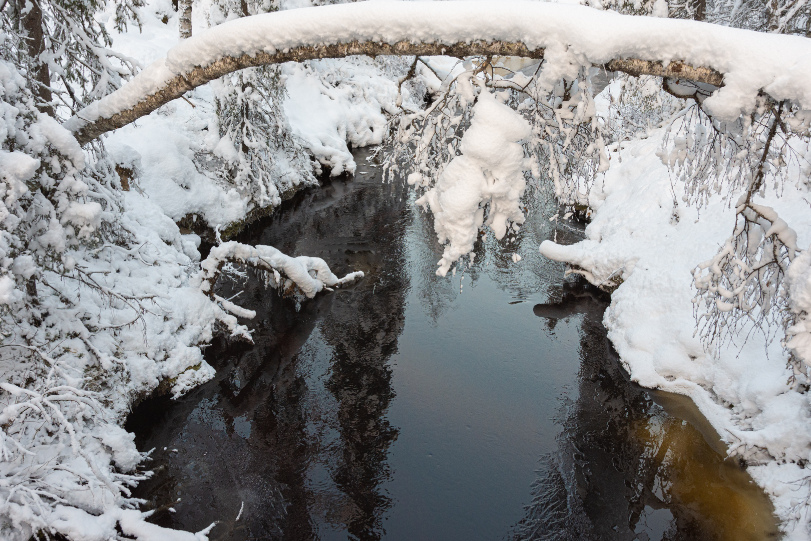 Korojoki River