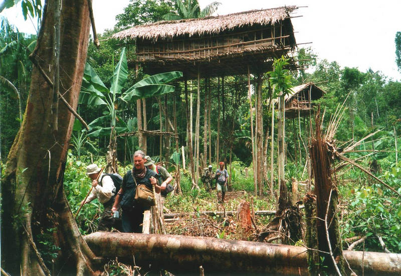 Korowai- Baumhäuser Irian Jaya