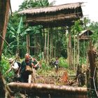 Korowai- Baumhäuser Irian Jaya