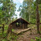 Korowai guesthouse