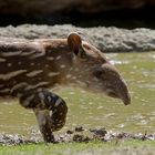 Korrektur: Auf Erkundungstour