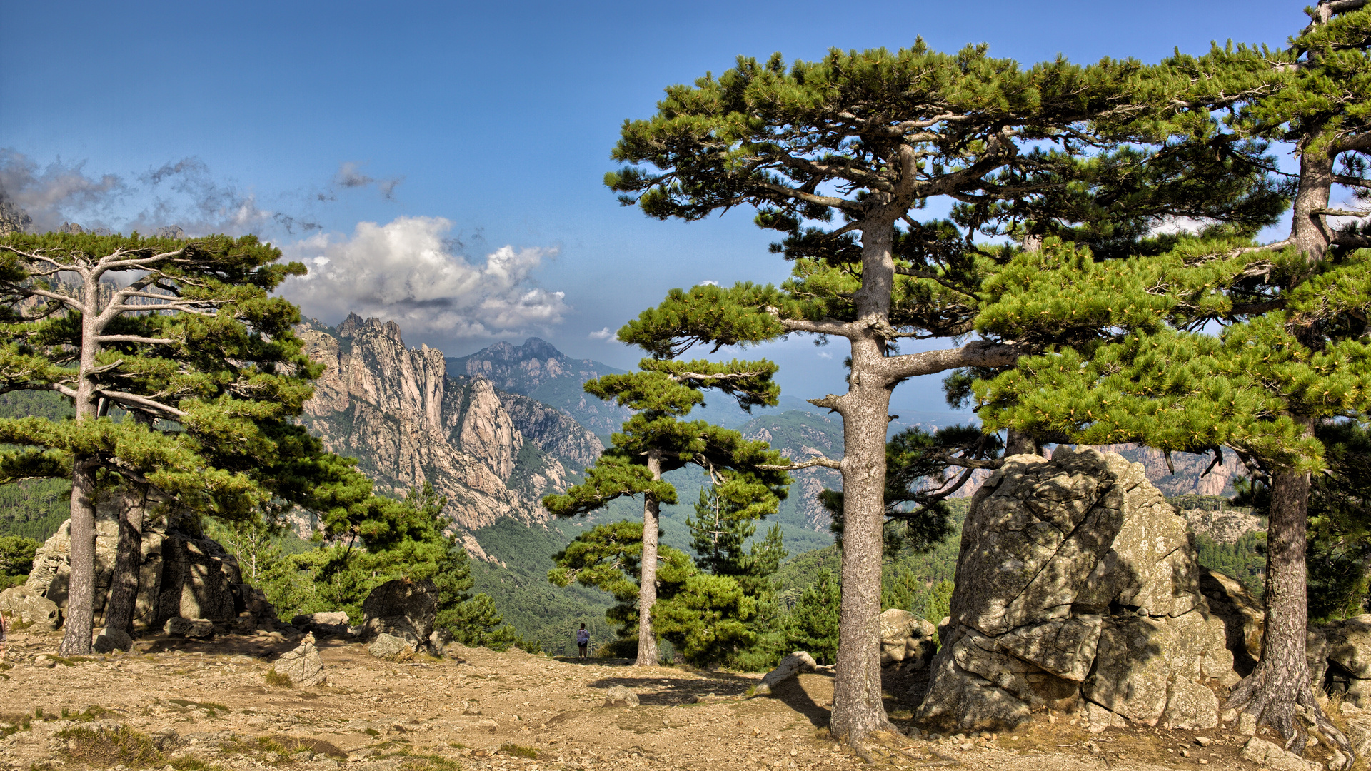 Korsika, Col de Bavella Foto & Bild landschaft, natur, korsika Bilder