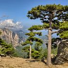 Korsika, Col de Bavella