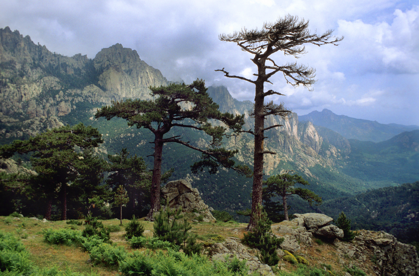 Korsika Col de Bavella 