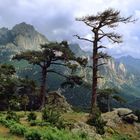 Korsika Col de Bavella 