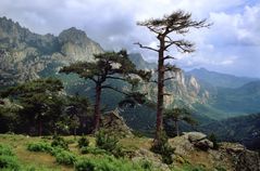 Korsika Col de Bavella 