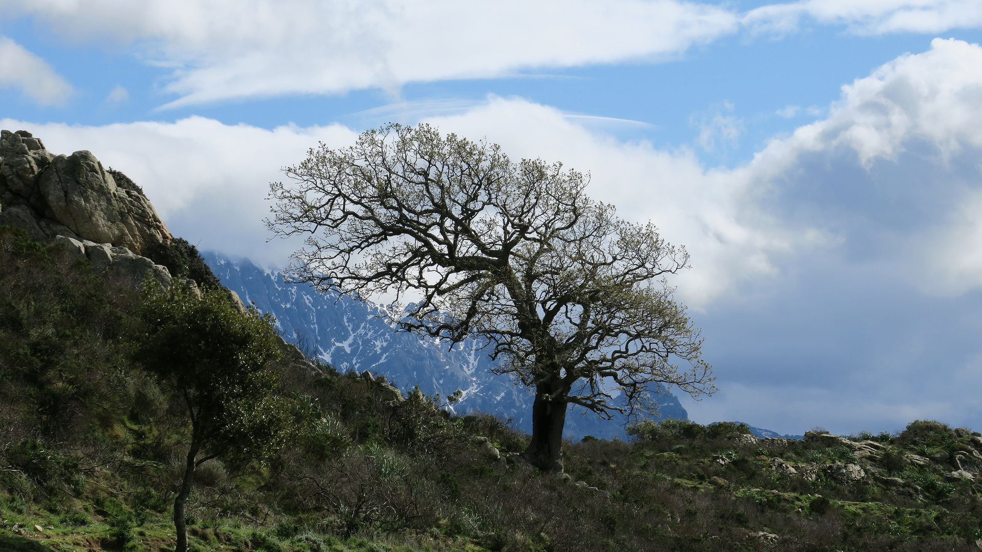 Korsika, nähe Sant Antonino