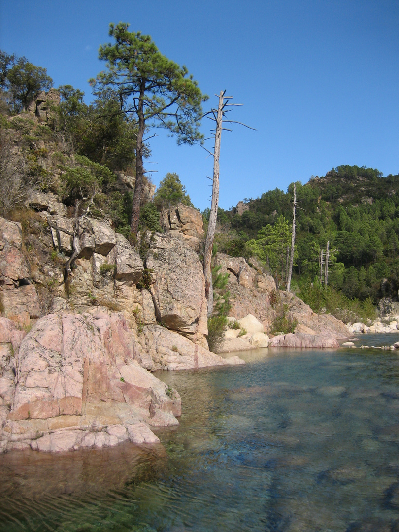 Korsika - Solenzzara Foto & Bild | landschaft, bach, fluss & see, natur  Bilder auf fotocommunity