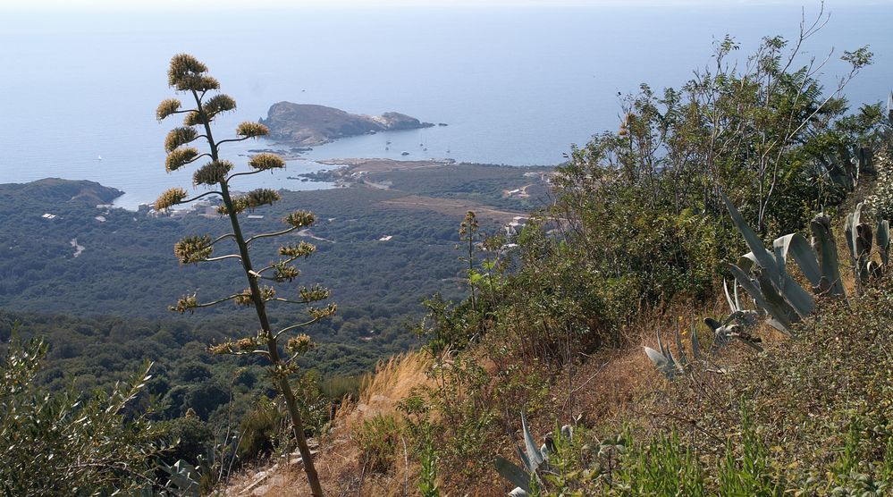 Korsikas Küsten(3)