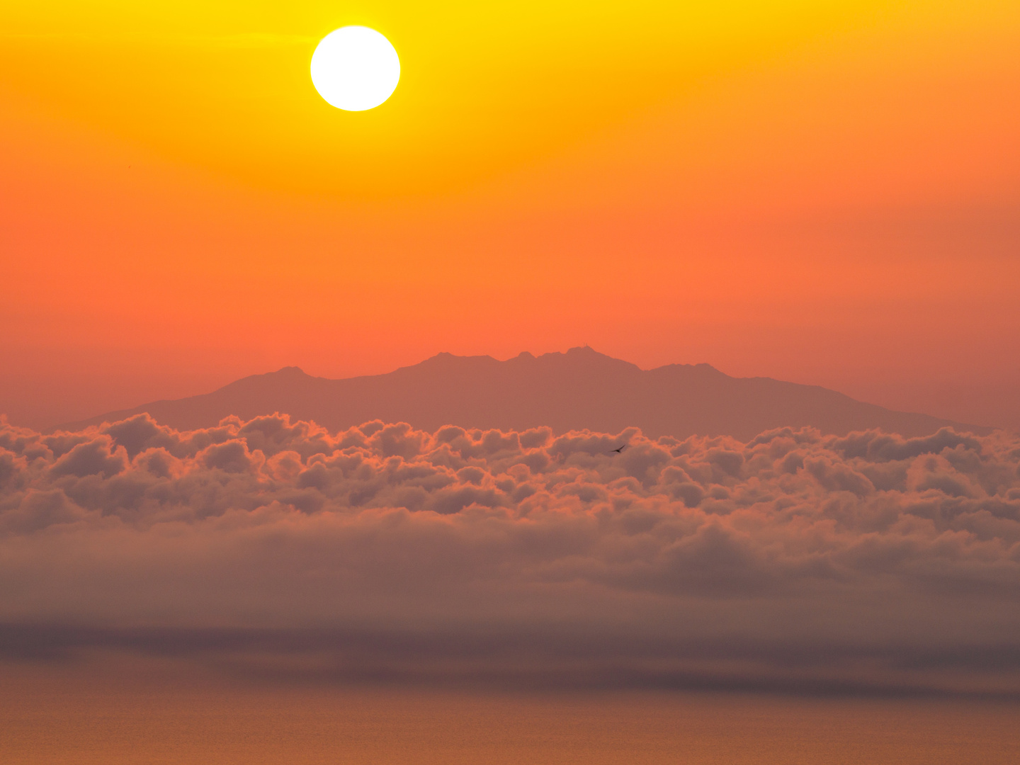 Korsischer Sonnenaufgang1: über der Isola di Montecristo