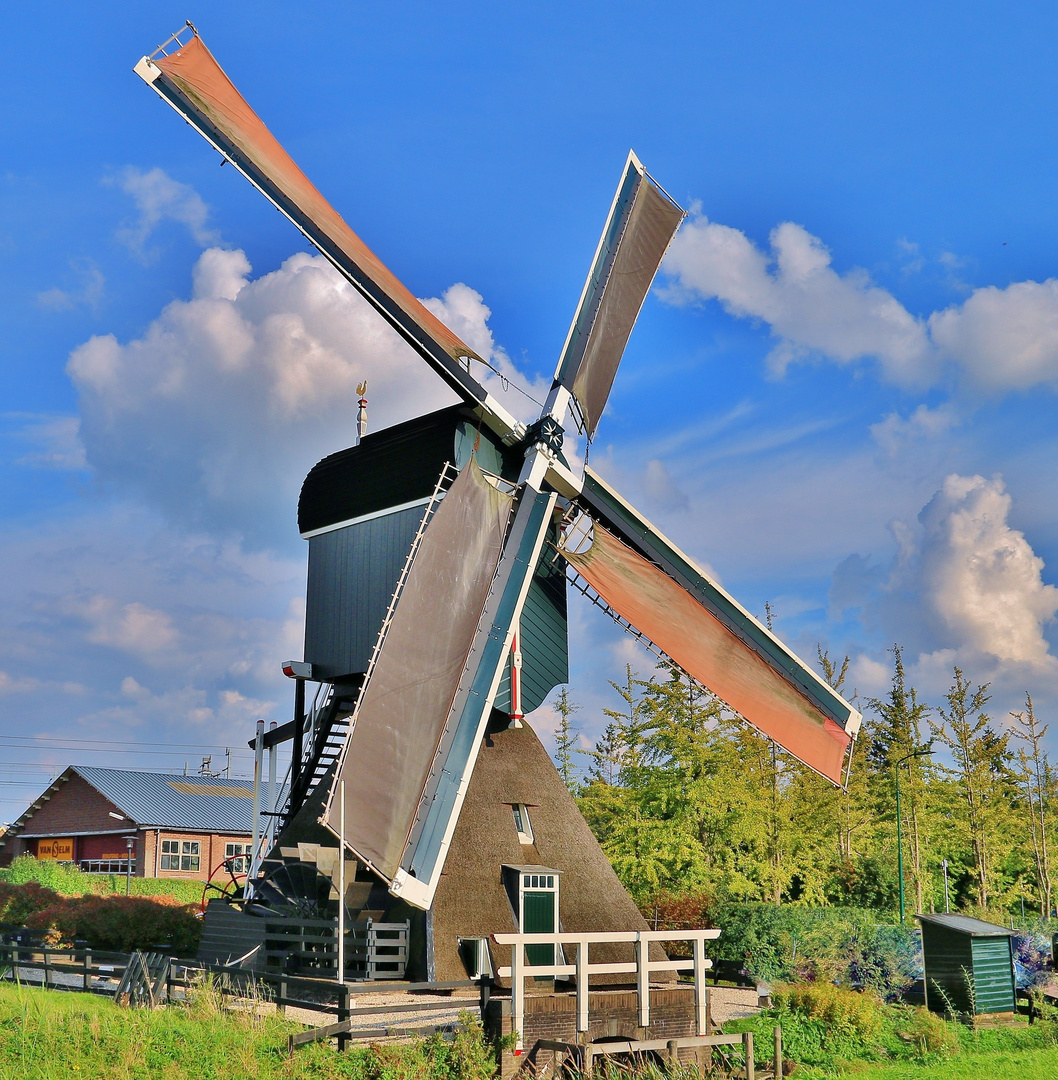 Kortrijkse Molen