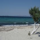 Kos Marmari Beach