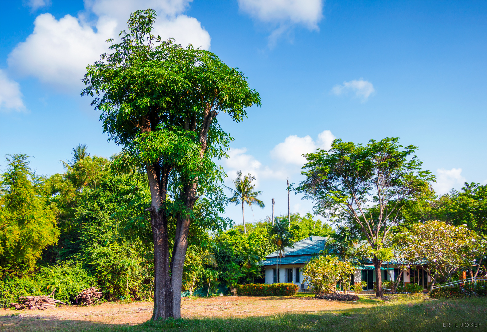 KoSamui0563