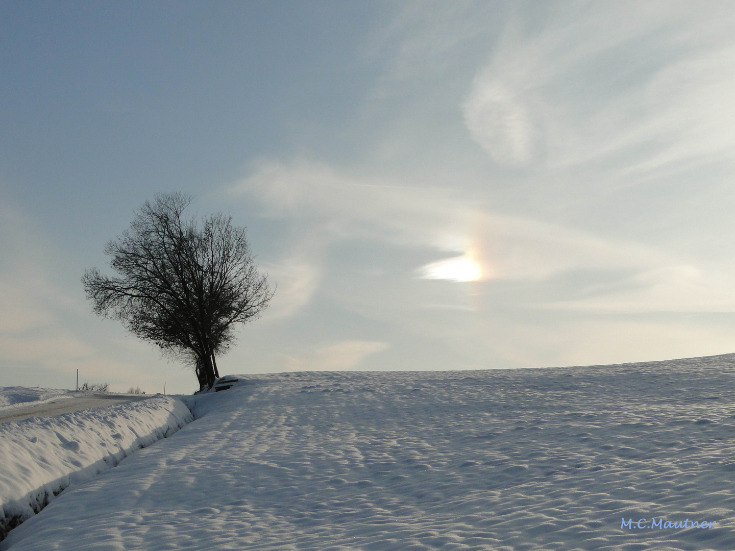 Kosmische Kräfte ... biegen und drücken sie den Baum ???