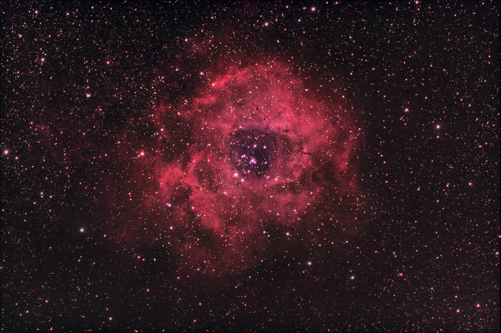 Kosmische Rose (NGC 2237)