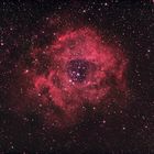 Kosmische Rose (NGC 2237)