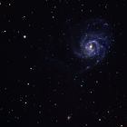 Kosmisches Feuerrad (M 101)