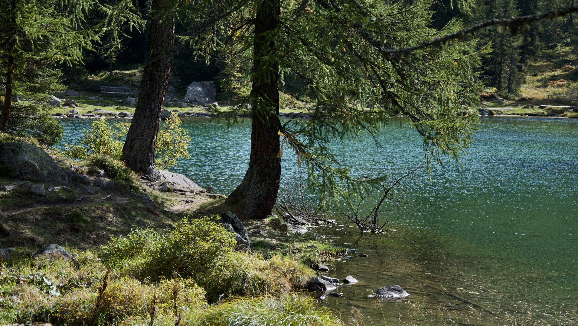 kostbare Augenblicke / Erinnerungen / Natur fast pur