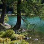 kostbare Augenblicke / Erinnerungen / Natur fast pur