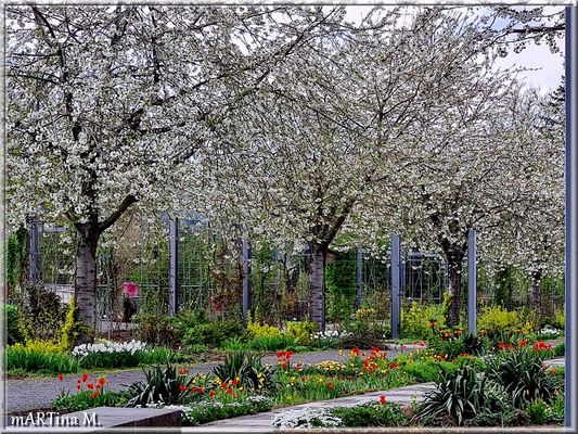 Kostbares kostenlos (mit Gedicht)